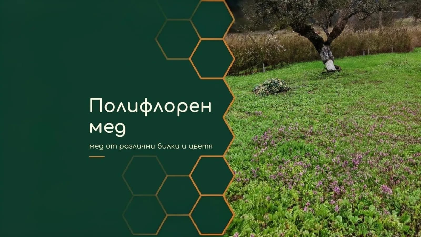 Полифлорен мед: какво е и защо всяка реколта е различна